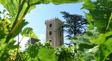 Mes engagements associatifs