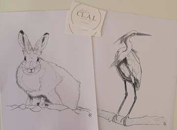 Atelier CLAL - Modèles pour le cours de dessin