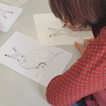 Atelier CLAL - Cours de dessin