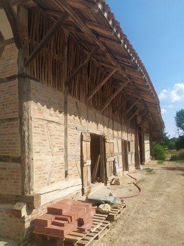 Visite du Musée de la ferme de la Forêt à Courtes